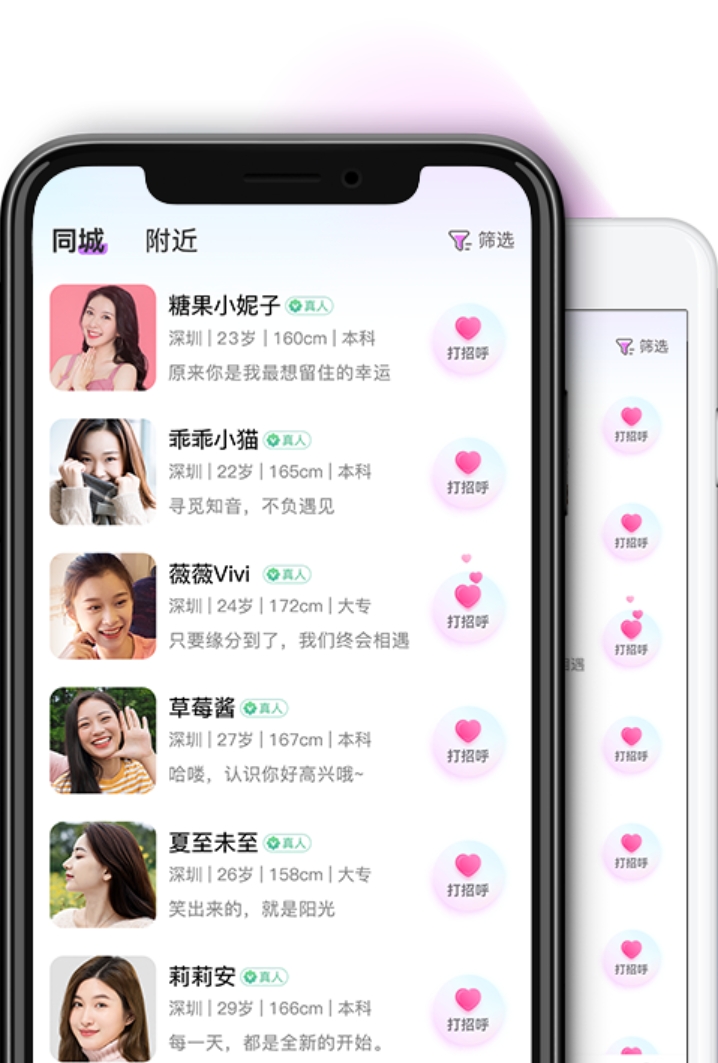 App 界面示意